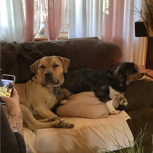 Meet your Posher, Marey (Mugsy j) - Picture 12 of 16